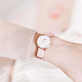 Часы Daniel Wellington Petite Dover DW00100512 фото 5